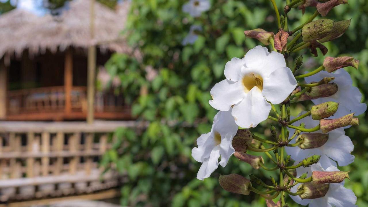 Onong'S Homestay & Cafe Tomohon Kültér fotó